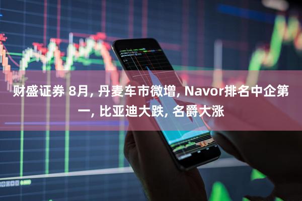 财盛证券 8月, 丹麦车市微增, Navor排名中企第一, 比亚迪大跌, 名爵大涨