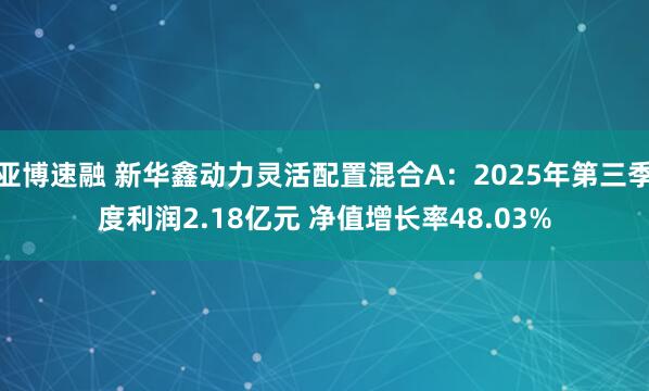 亚博速融 新华鑫动力灵活配置混合A：2025年第三季度利润2.18亿元 净值增长率48.03%