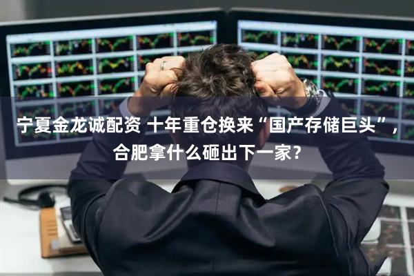 宁夏金龙诚配资 十年重仓换来“国产存储巨头”，合肥拿什么砸出下一家？